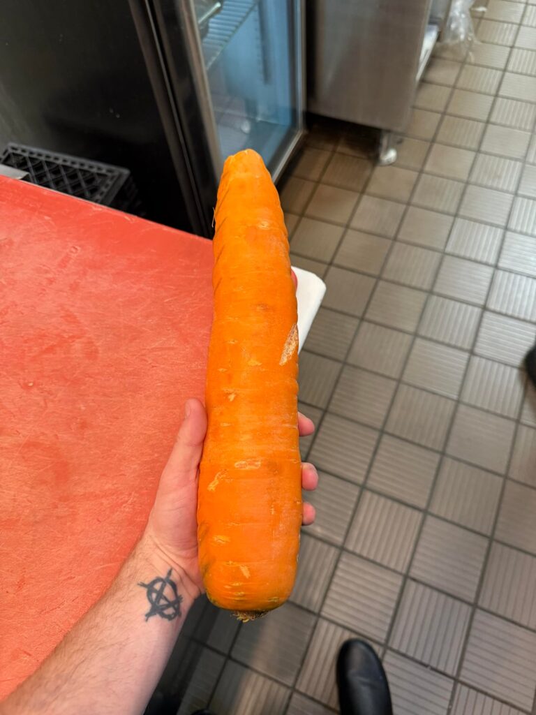 By far the largest fucking fairy I’ve ever seen In my life