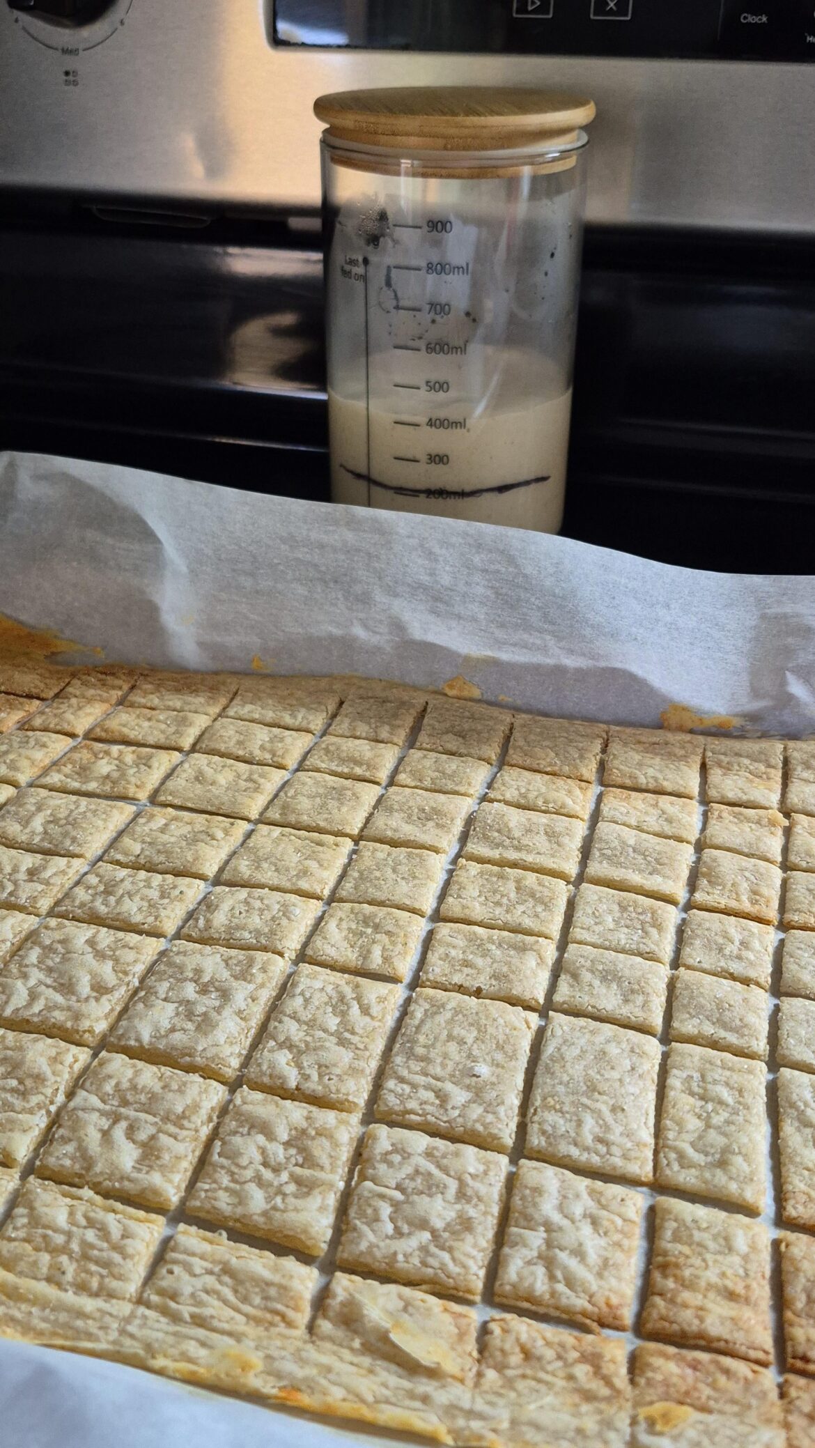 Discard success! These taste like cheez-its. Using discard is quite satisfying. What have you made?