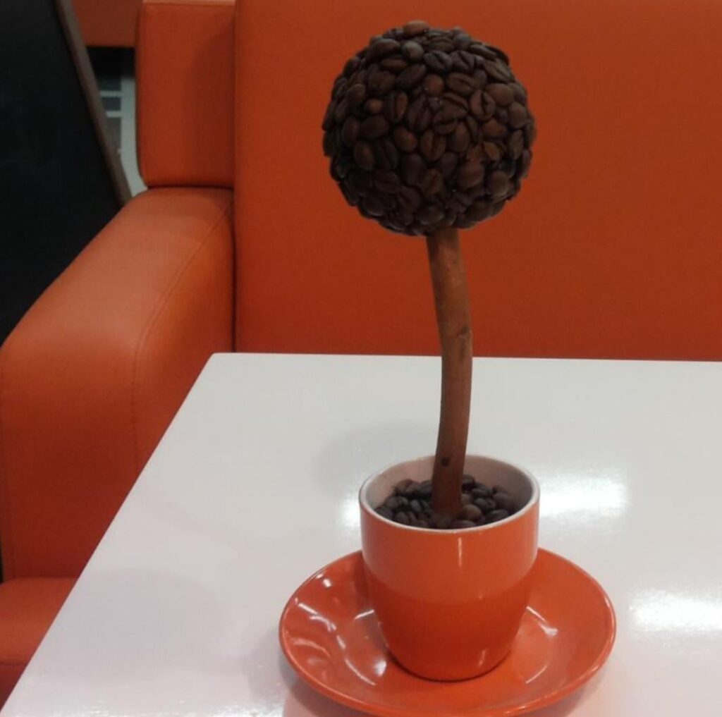 Spotted this cool coffee bean tree at a local cafe today. ☕️"