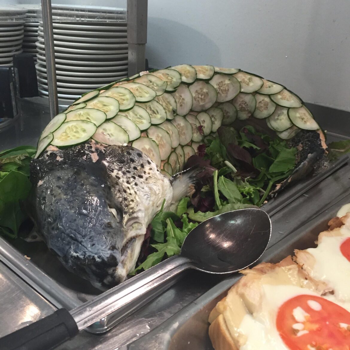 Served in our doc lounge once- no idea what to call this monstrosity