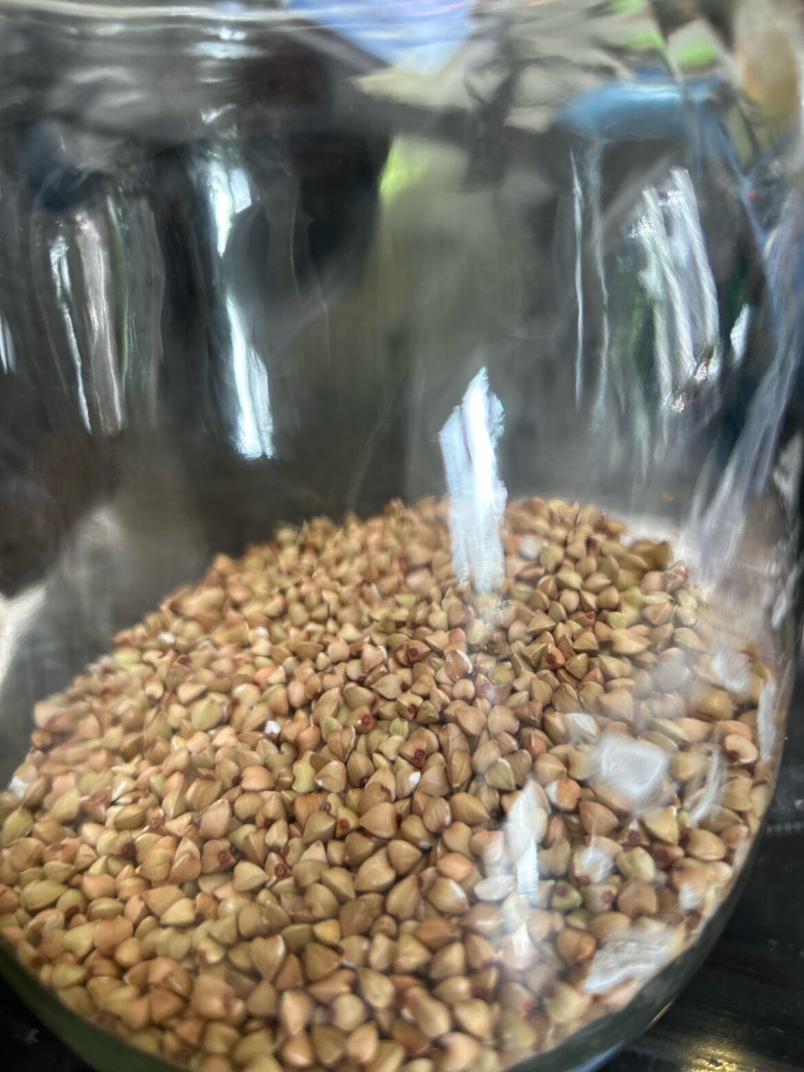 Buckwheat ideas from all over the world please?