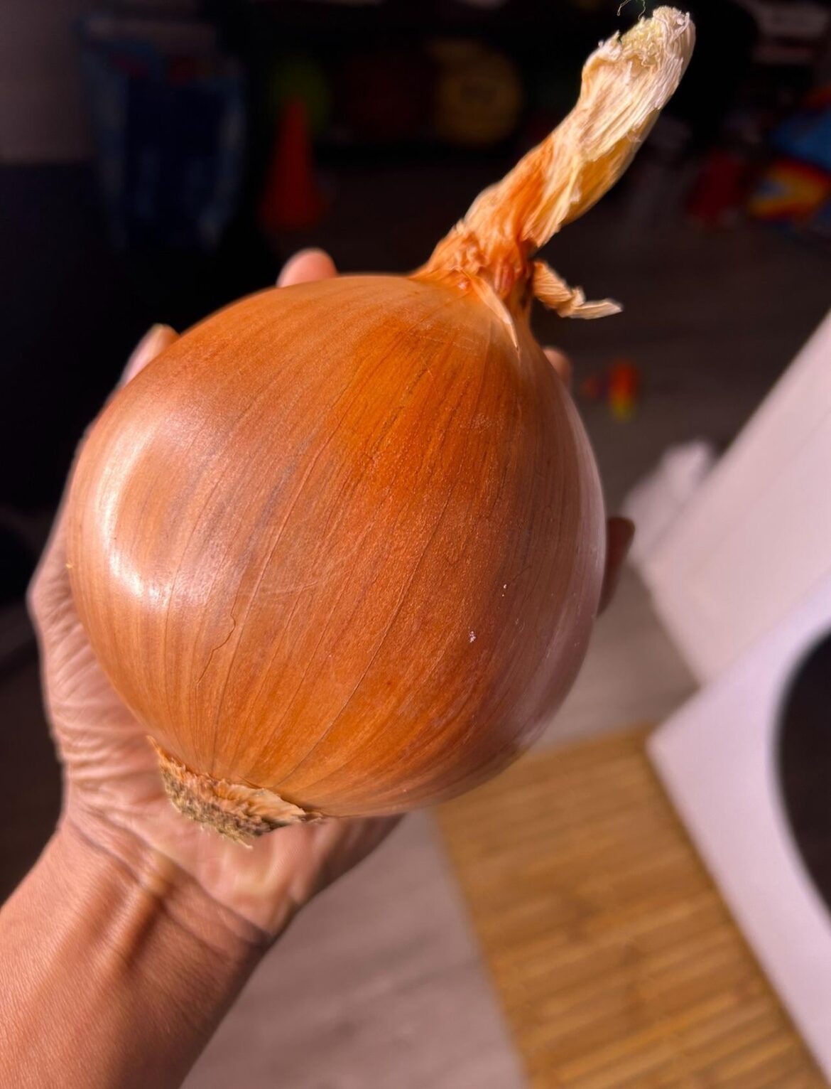 BIG Onion too perfect!