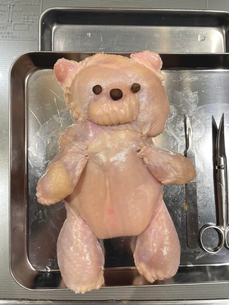 Made Teddy Bear Chicken