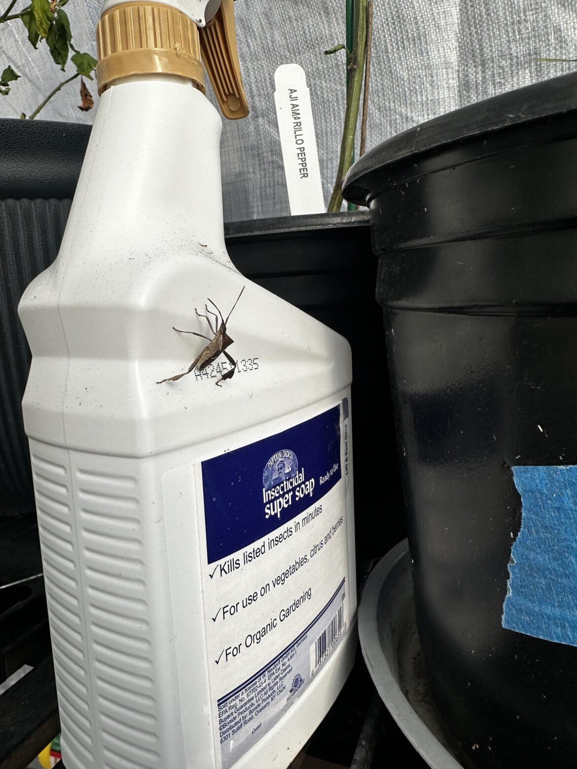 And isn’t it ironic?…….