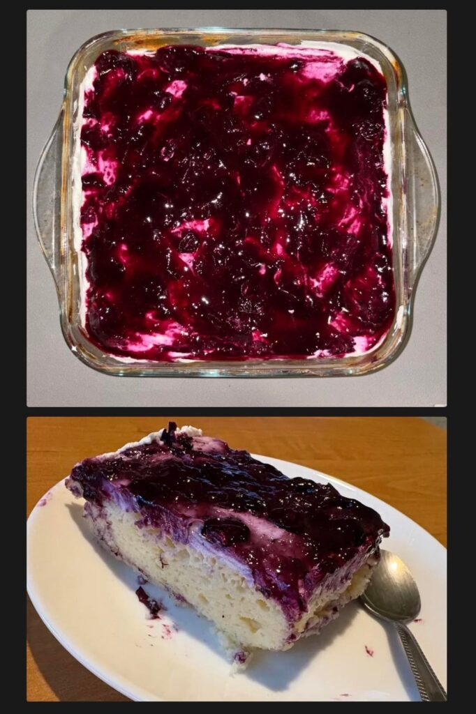 Just made this insane LEMON BLUEBERRY CAKE (High Protein + Low Cal)