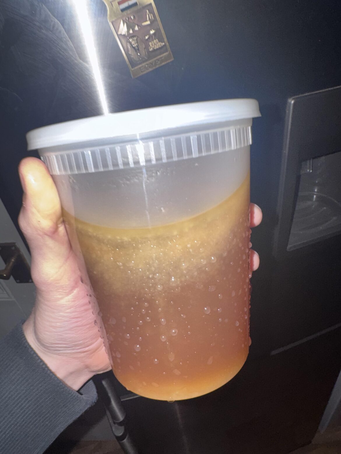 Tips for making chicken/pho stock clearer? Is it just purely fat making the stock cloudy beneath the fat layer?