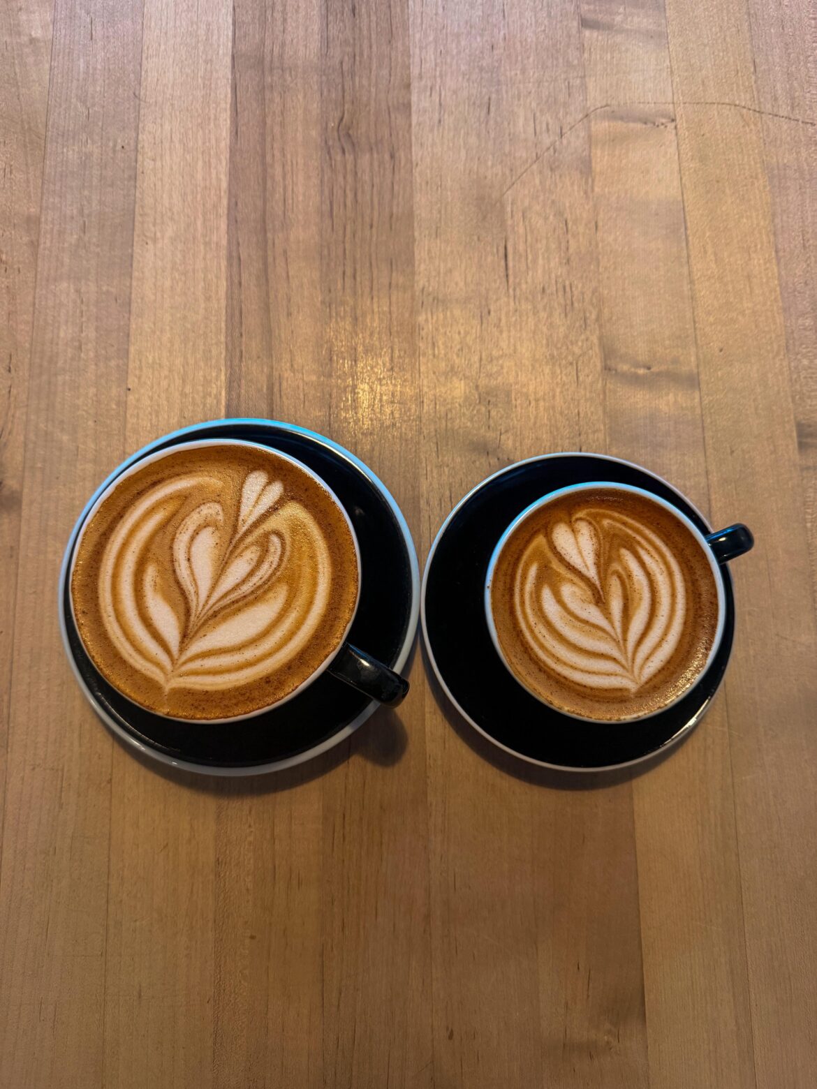 After a 2 week holiday hiatus… we are so back.