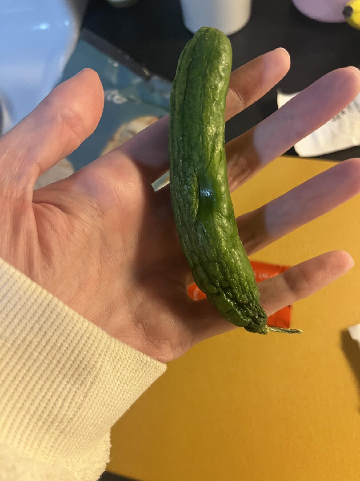 My cucumber