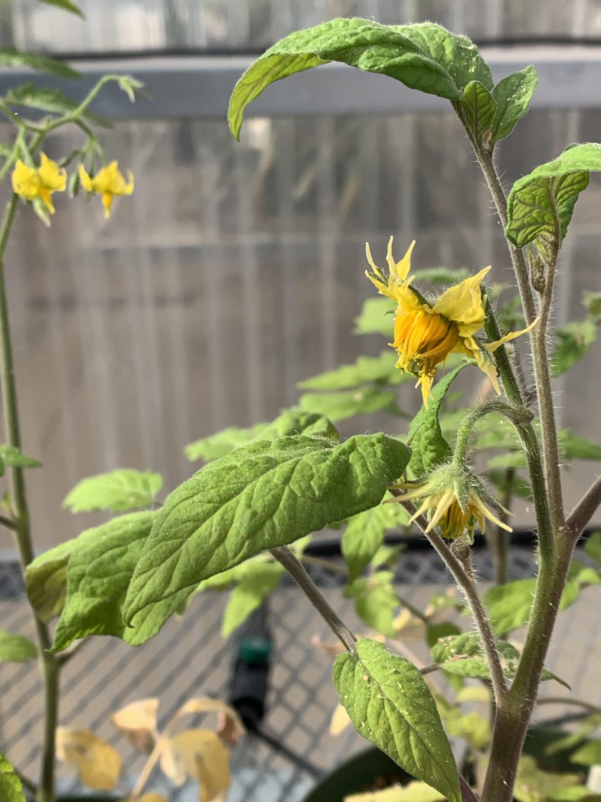 Really proud of how this photo turned out.