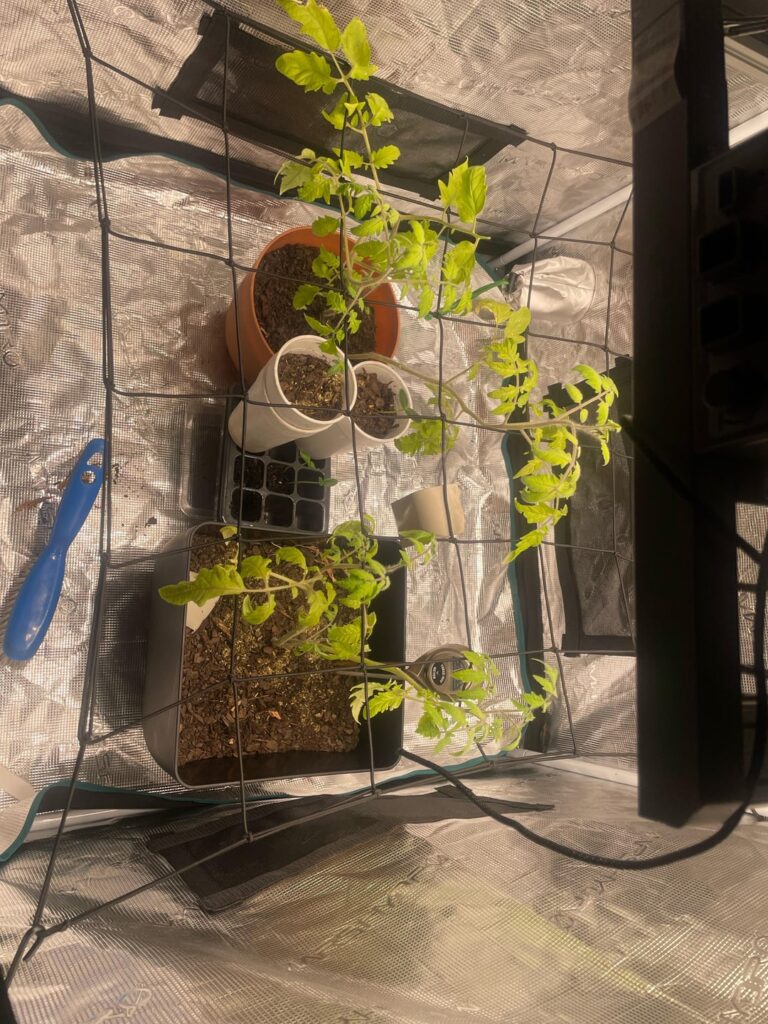 Georgia, how do my plants look 👀?