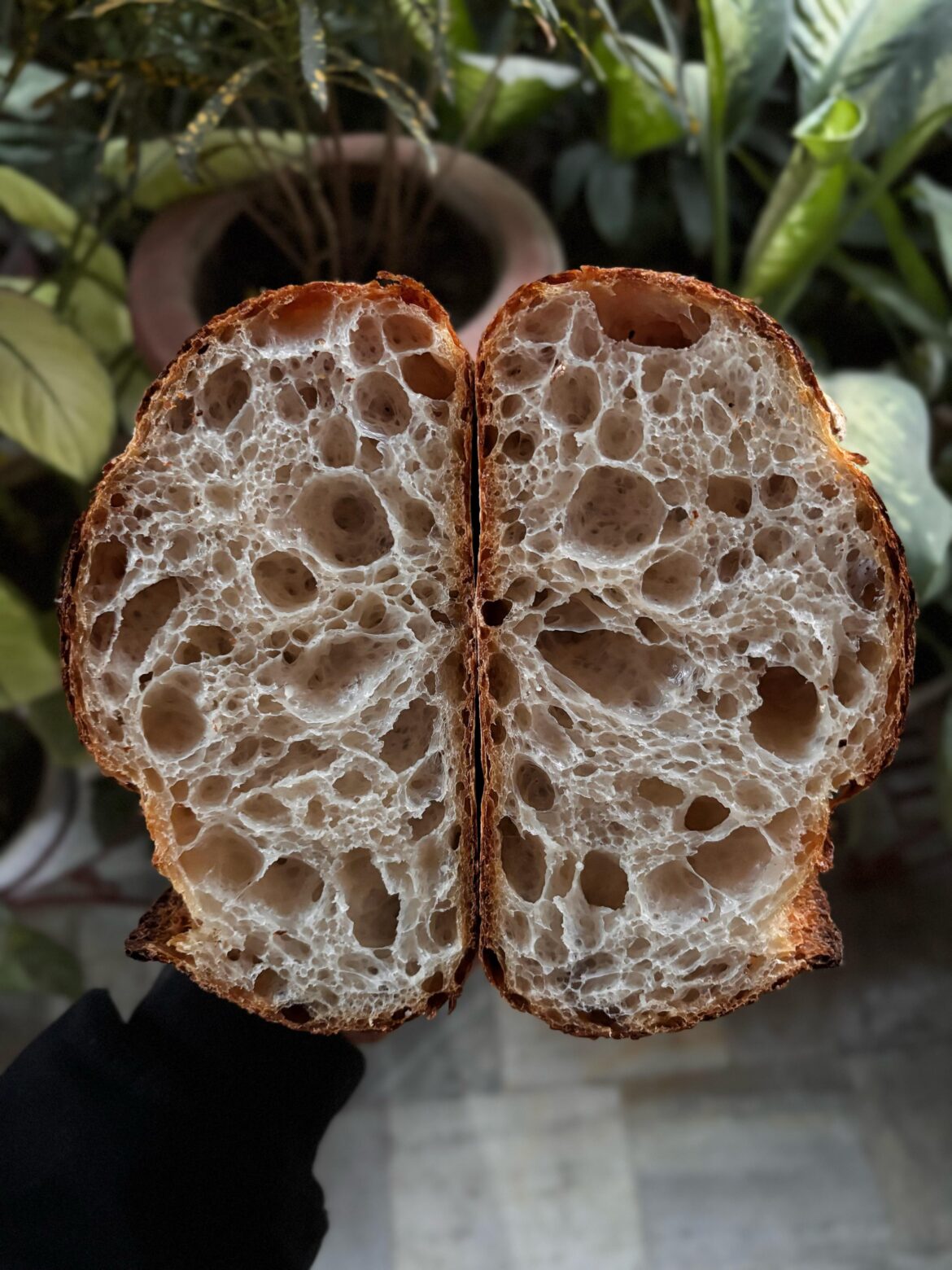 today’s bake today’s bake