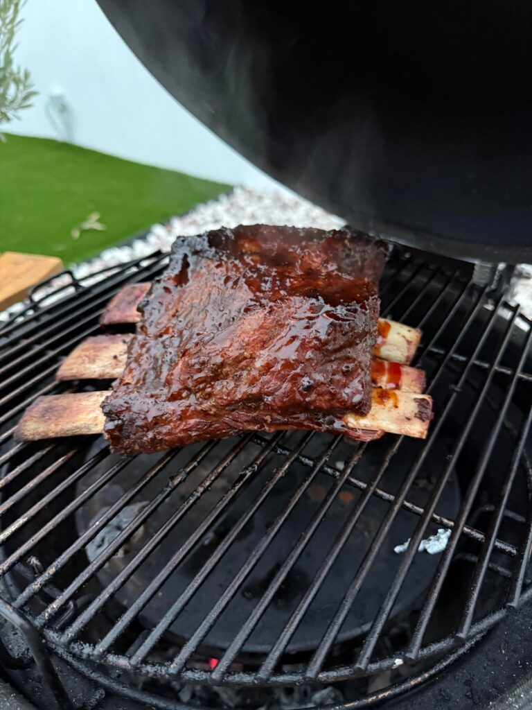 Slow cooking short ribs in the egg