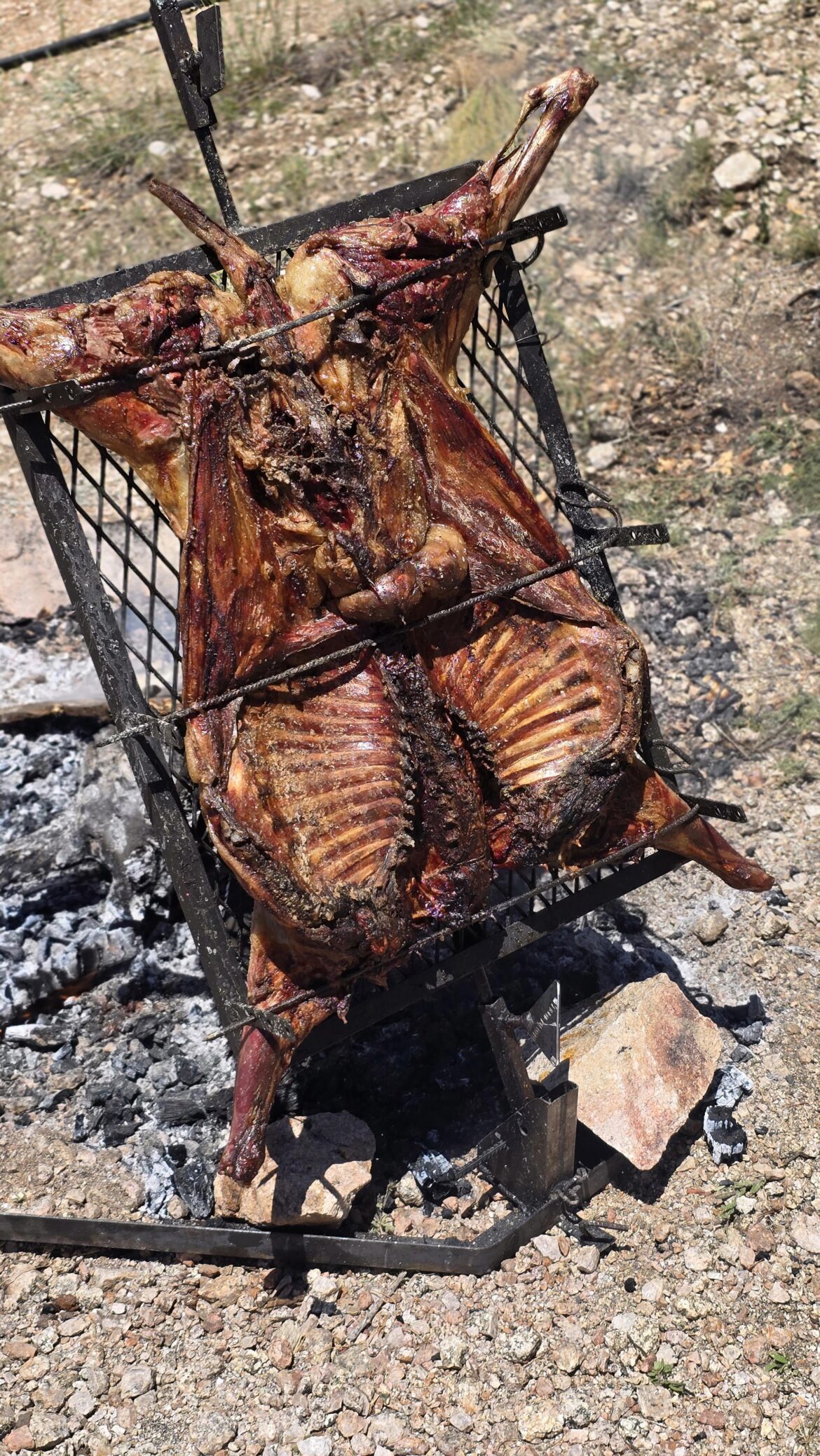 From what I saw, you liked the photo of my family barbecue, so here's another one!
