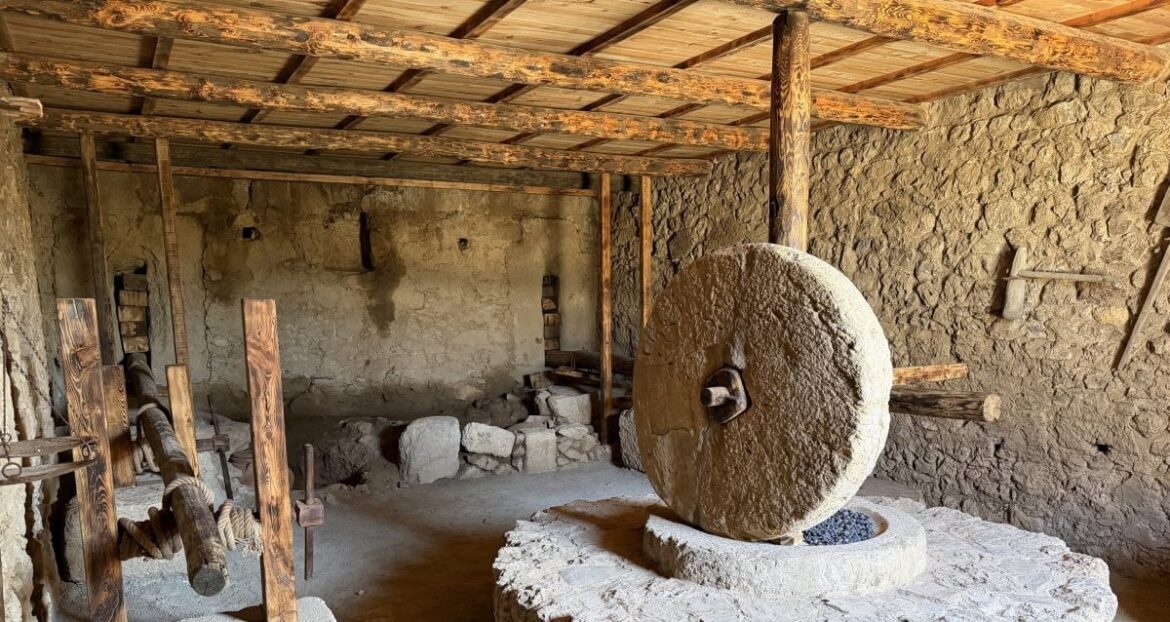 Dozens Of Olive Oil Workshops Found In Ancient Turkish City