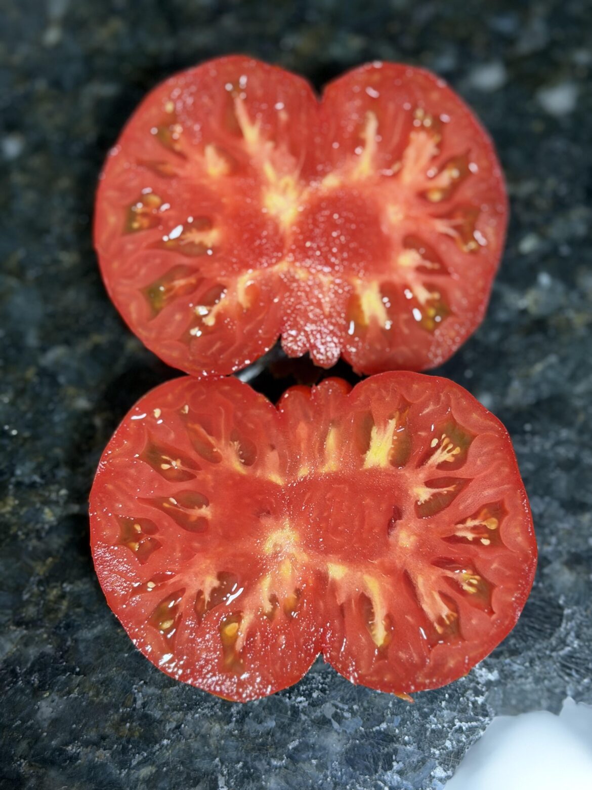 Gaucho marmande tomato