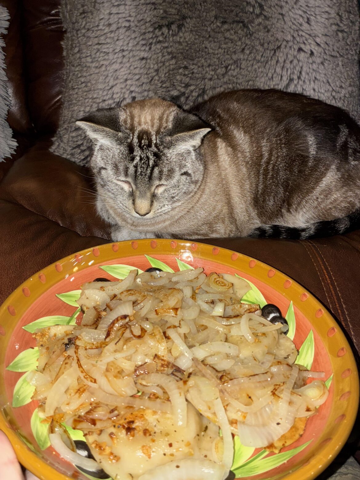 Onions + Pierogi + Kitty = Bliss