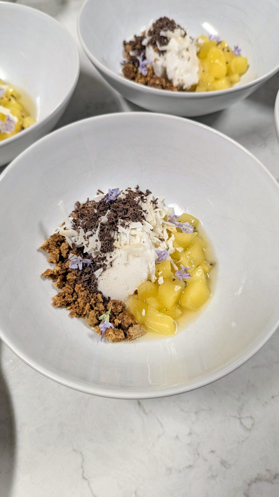 White chocolate crumble, coconut sorbet, kiwi in orange blossom syrup, coconut flakes, grated pure chocolate & thyme flowers