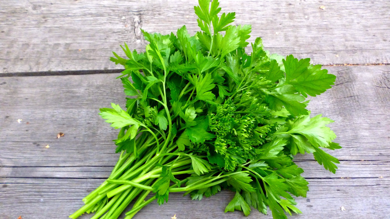 Bunch of Italian parsley on a wooden table