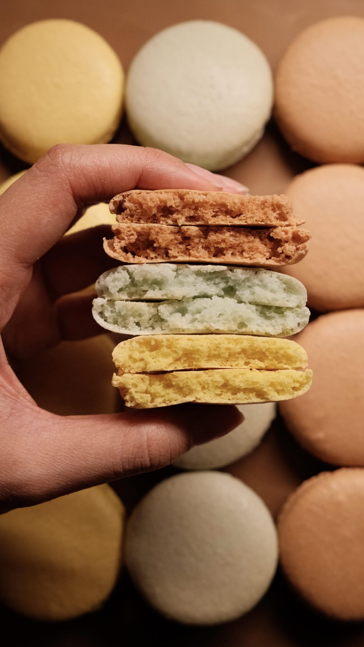 Full shells, full heart 🤍