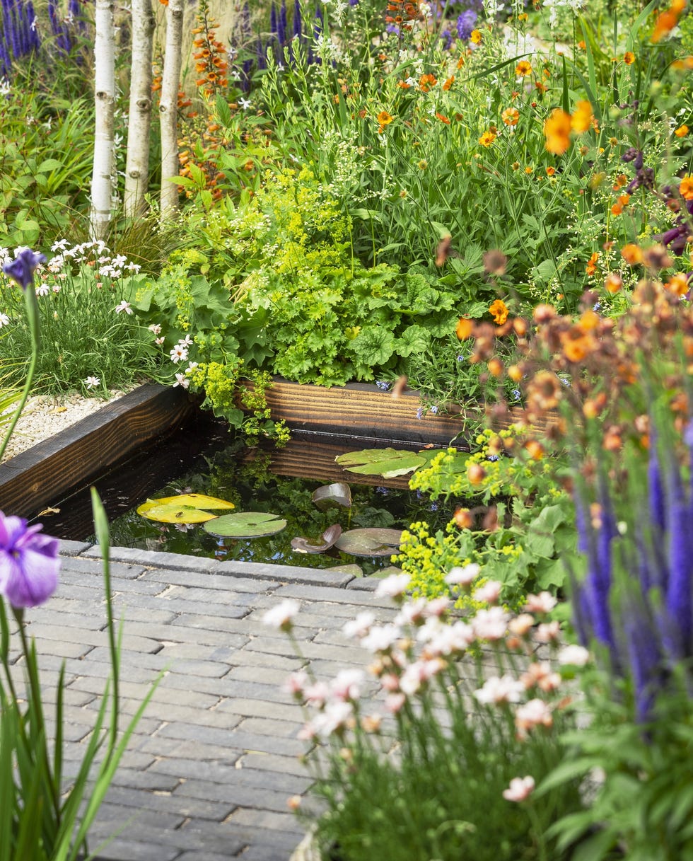 garden with various flowers and a small pond