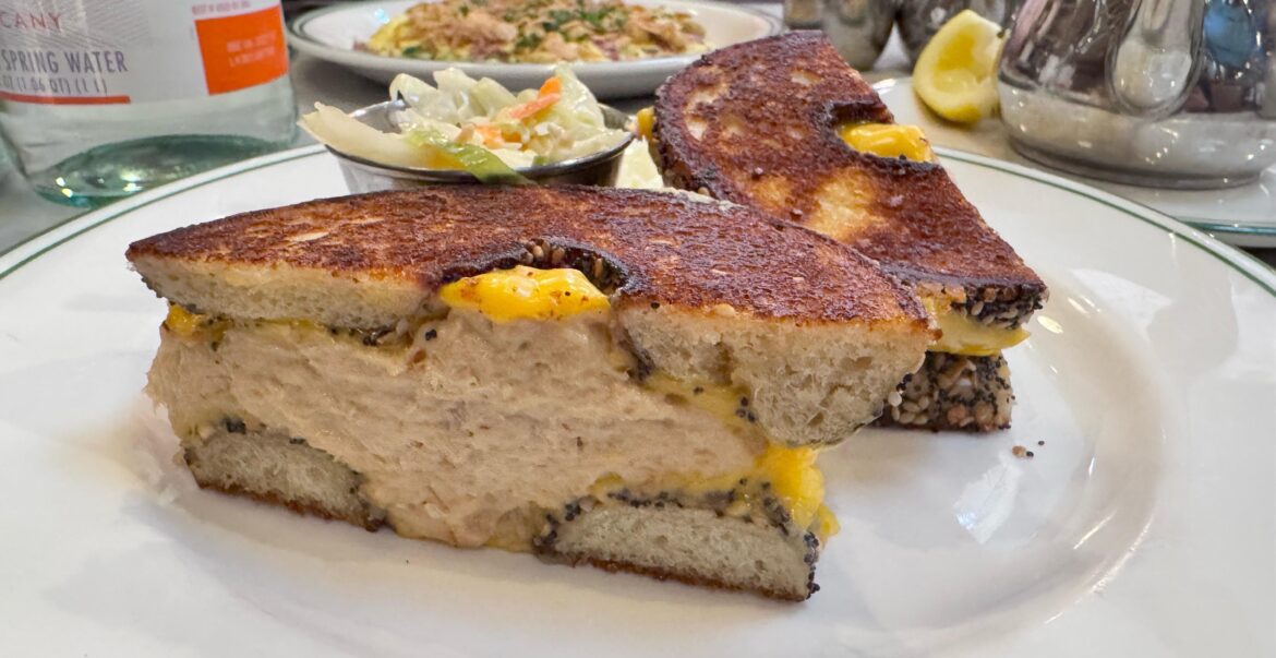 Tuna Melt in an Everything Bagel