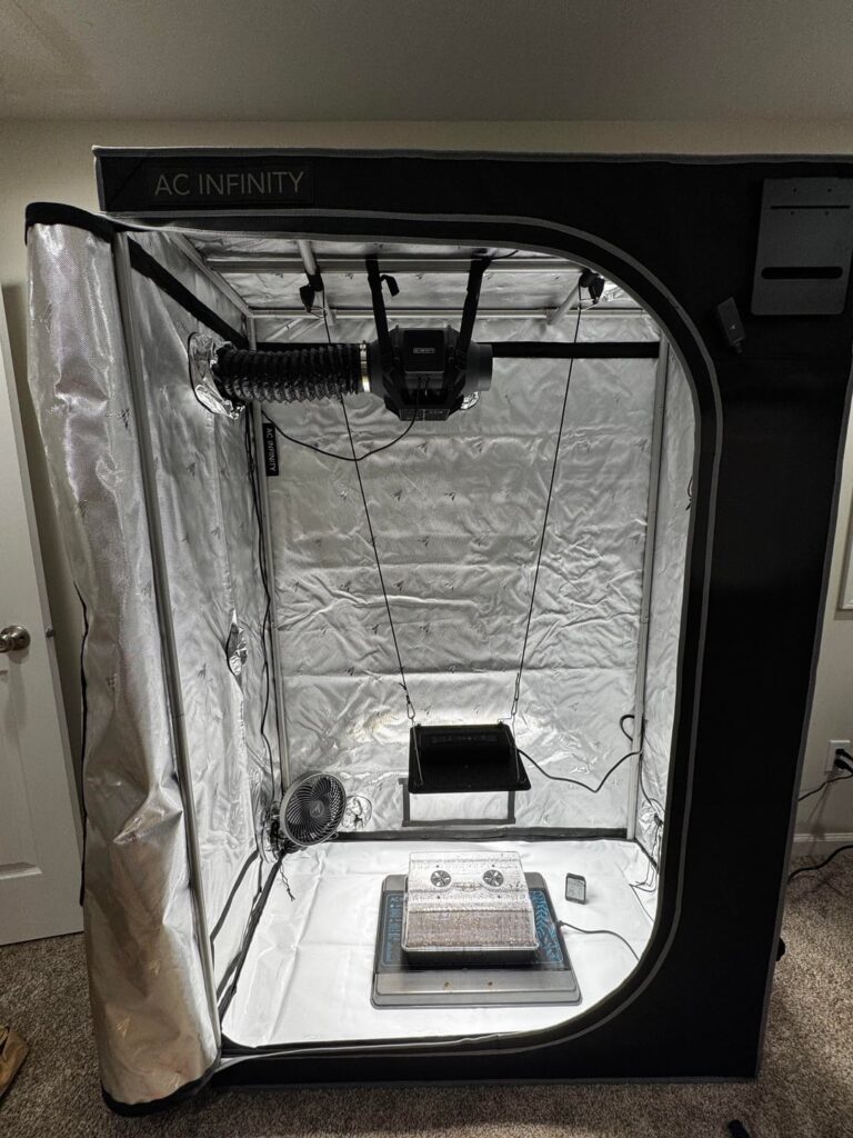 First Grow Tent Setup, Seeds Sprouting 6 Days