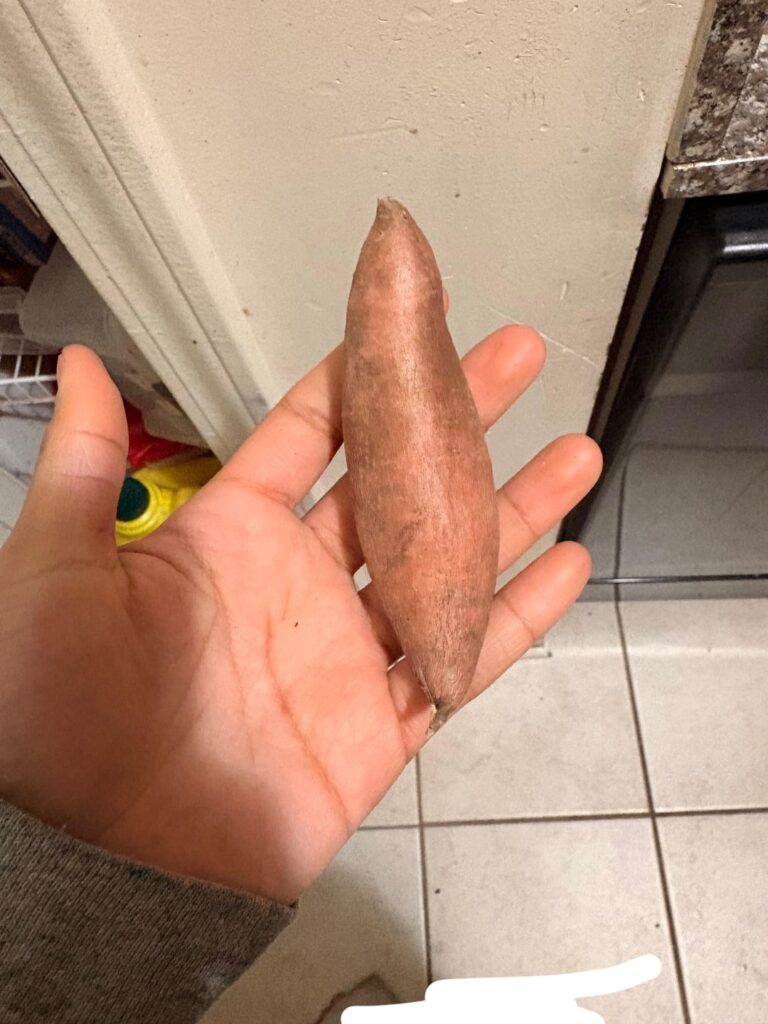 Calories in this mini sweet potato??