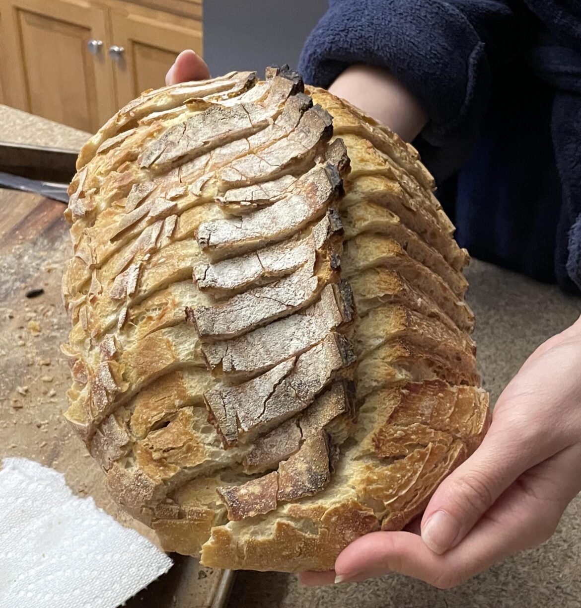 Stegosaurus Sourdough