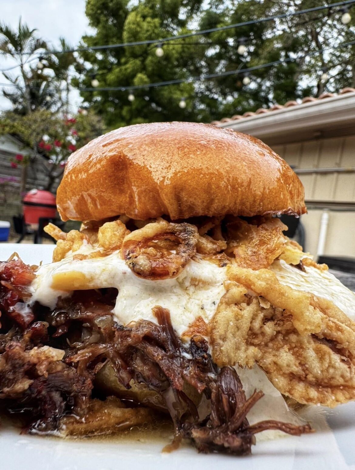 Smoked Oxtail/Short Rib + Cheddar + Horseradish Sauce + Fried Onions on Brioche