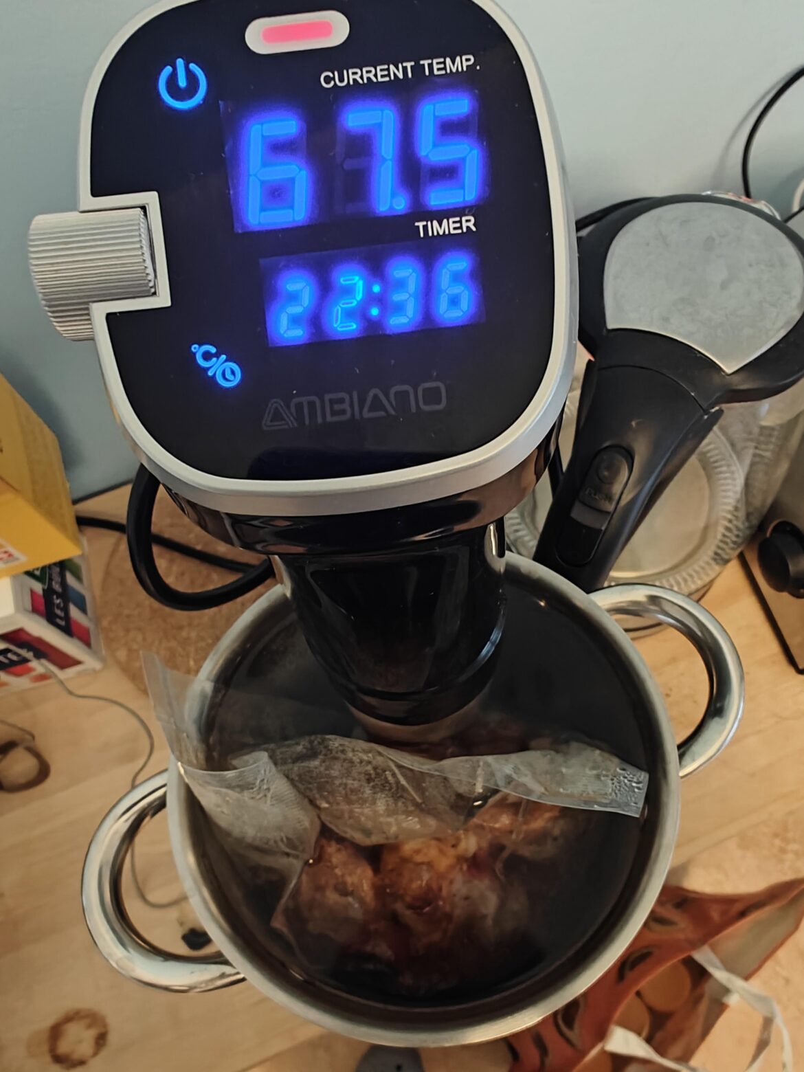 Doing a chuck sousvide at 67.5°C for 24h. I am just wondering if it's bad for the bag to actually touch the immersion circulator?
