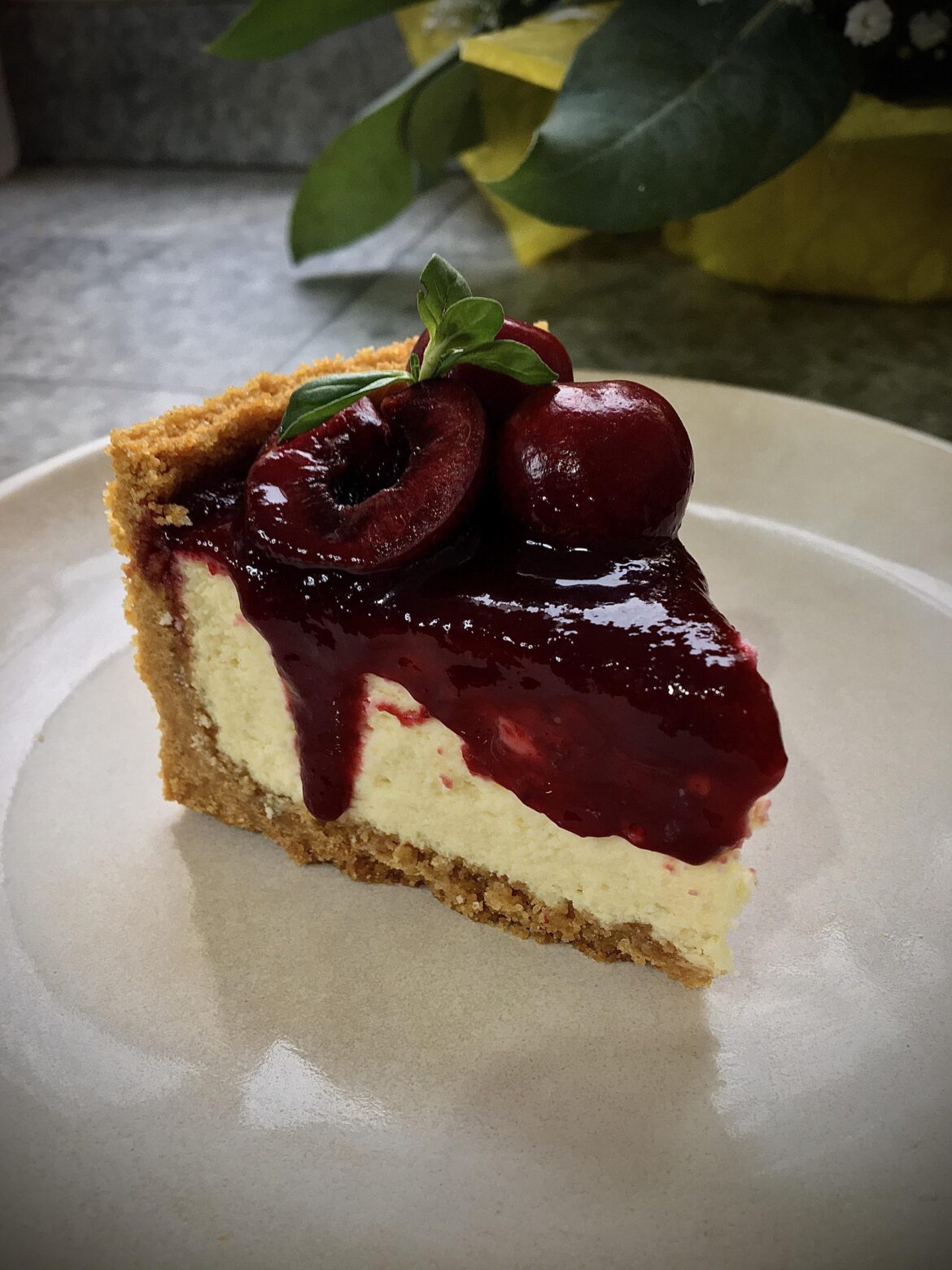 Sweet cherry labneh cheesecake