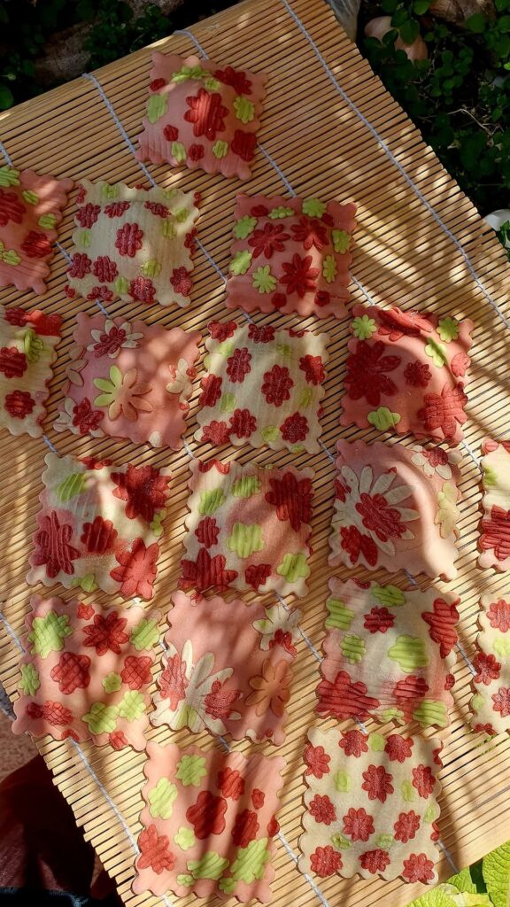 Ravioli stuffed with red onion, carrot, courgette and white beans 🌿🌱 all raw, except the beans obviously 😅💞