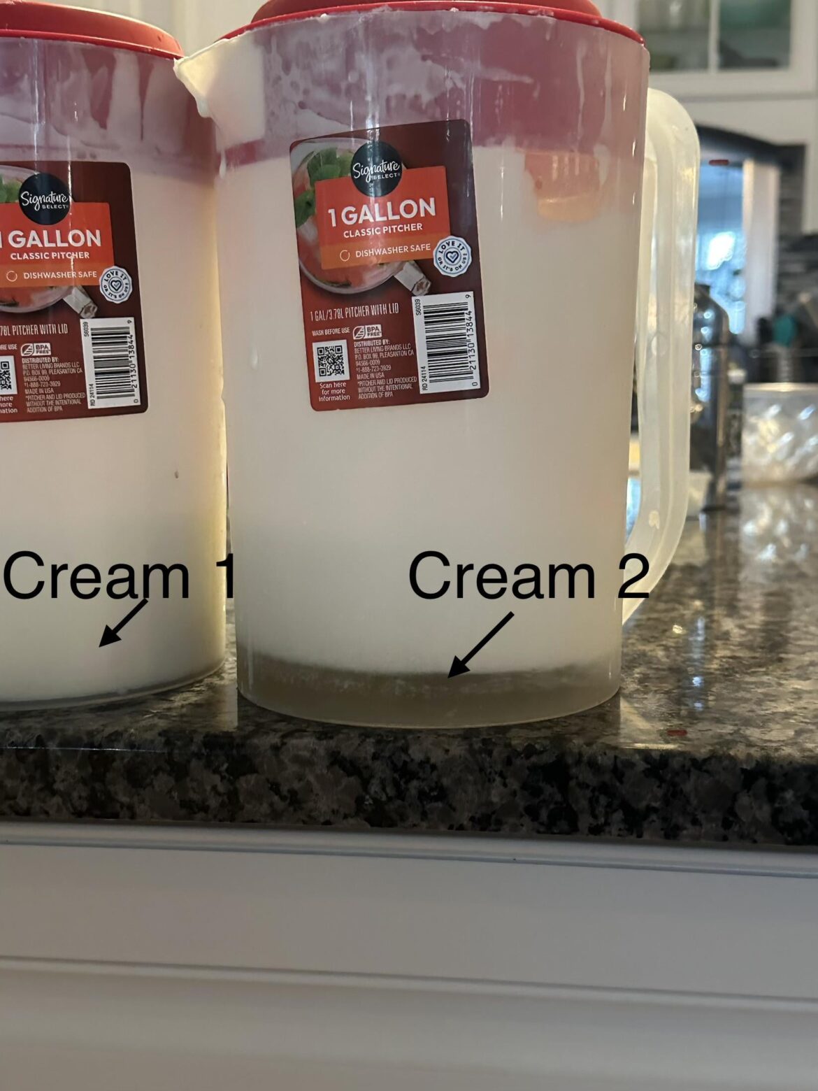 Tara gum causing separation in a cream based liquid. Tara gum causing separation in a cream based liquid.
