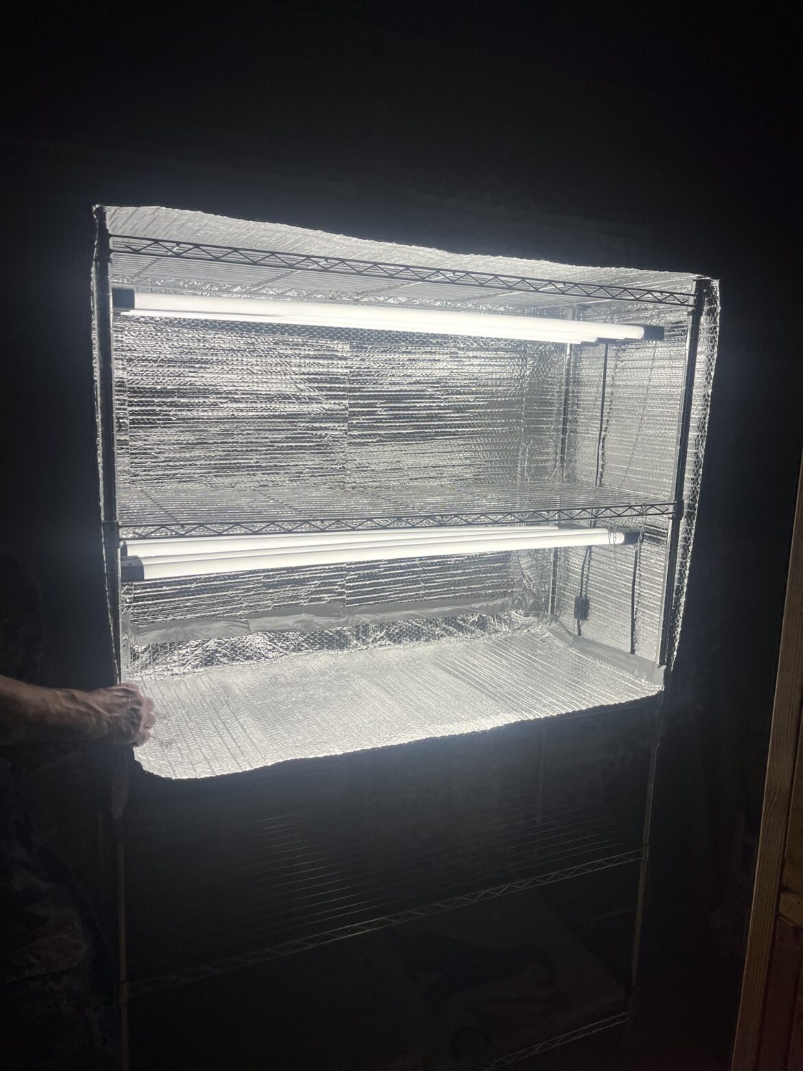 Attic seedling incubator