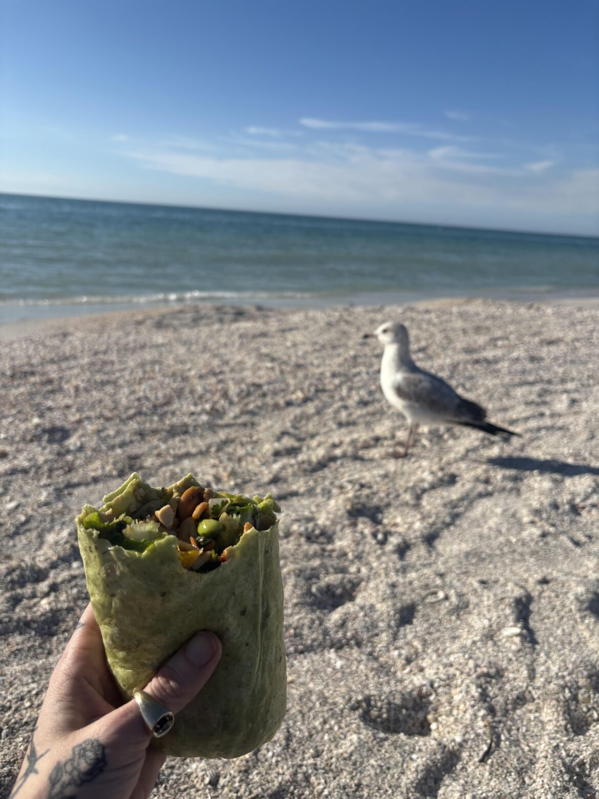 Sesame wrap thank you Tampa