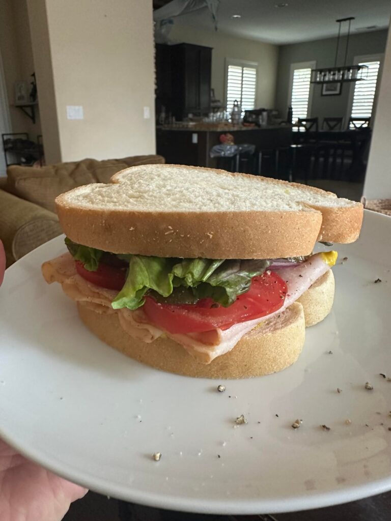 A sub-200 calorie sandwich I’ve been eating daily!