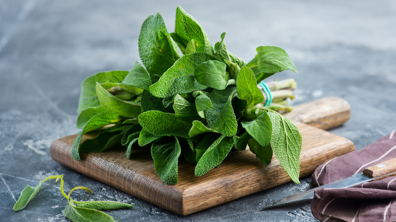 Bunch of fresh sage on a wooden cutting board