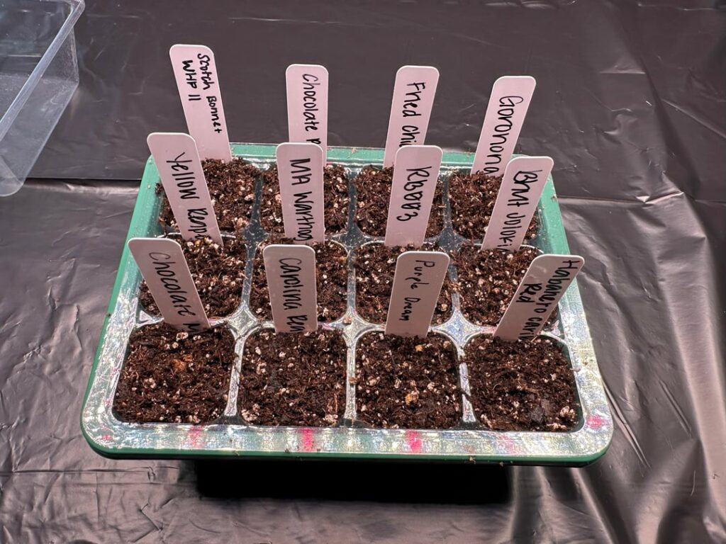 It’s About That Time Again