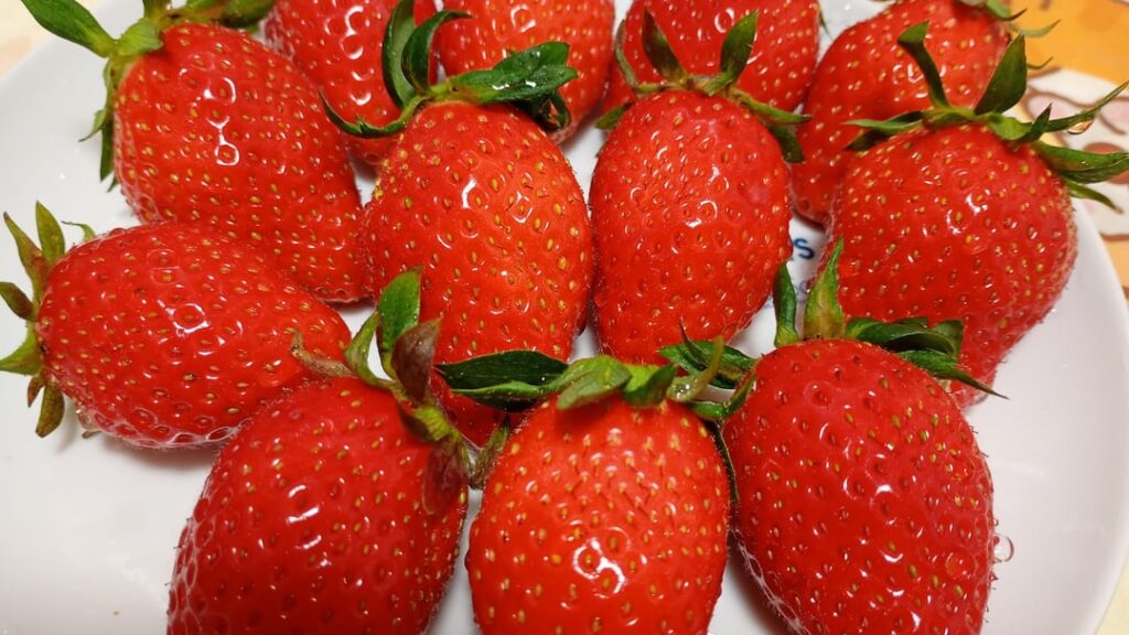 "Yayoihime" Japanese Strawberry