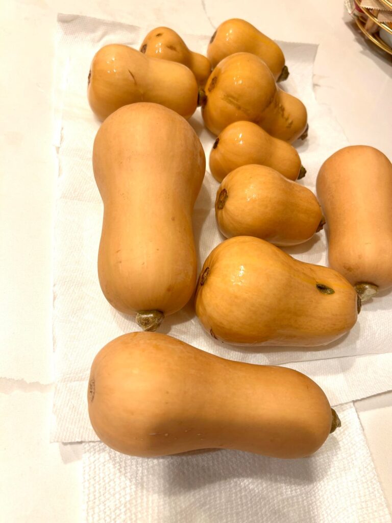 NYE Butternut squash pasta with final 2025 harvest.