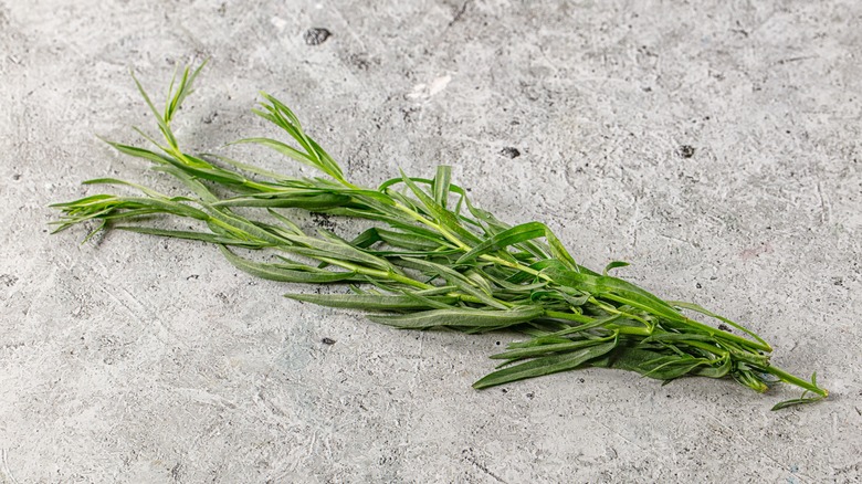 Sprig of fresh tarragon on a marble surface