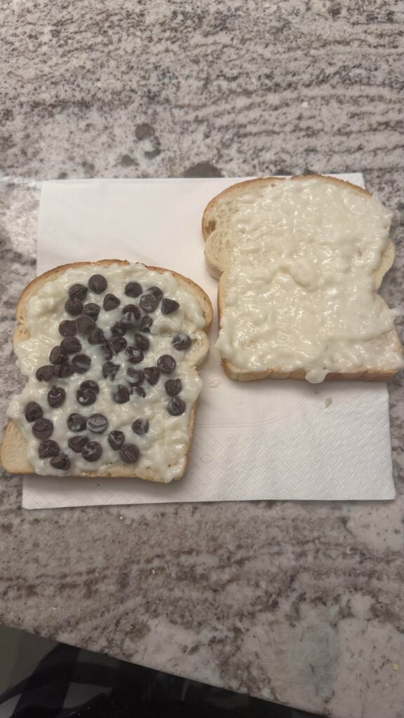 wanted a boston cream donut but we didn’t have any. rice pudding and chocolate chip sandwich