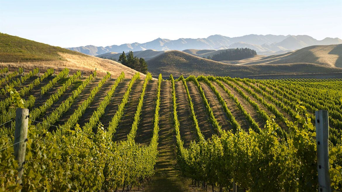 8 Excellent Global Values at 90+ Points