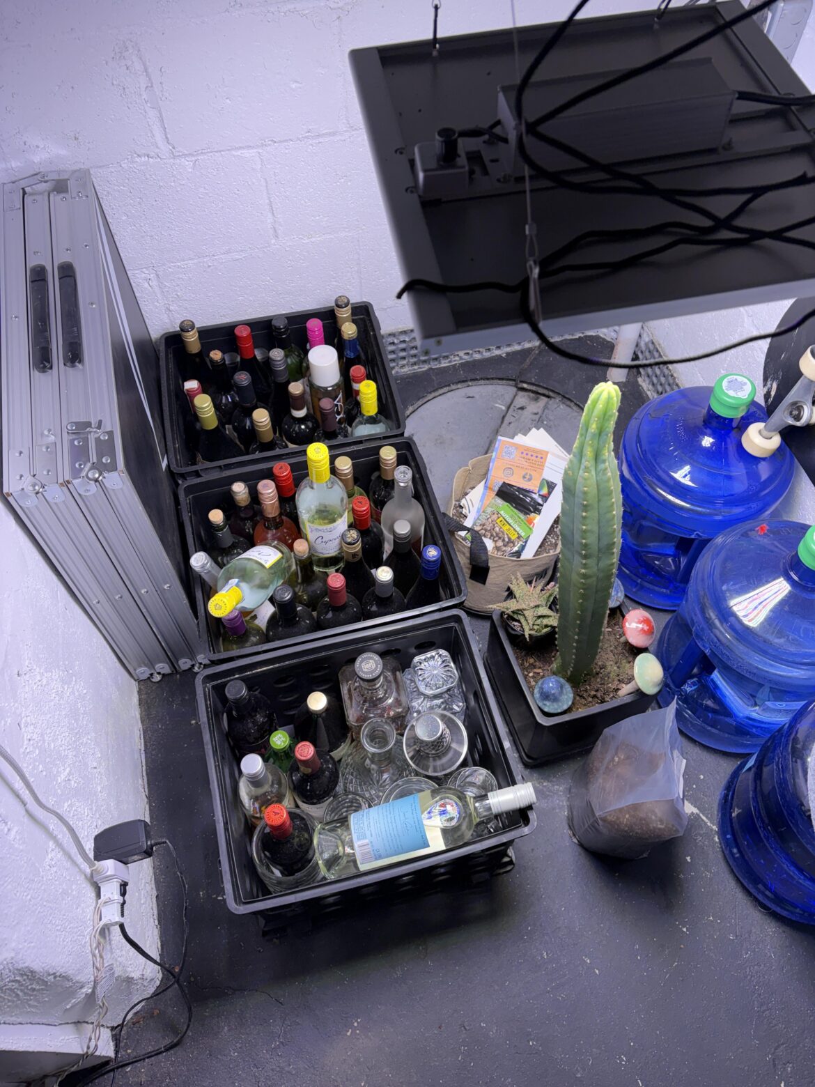 Did I ruin my little collection?