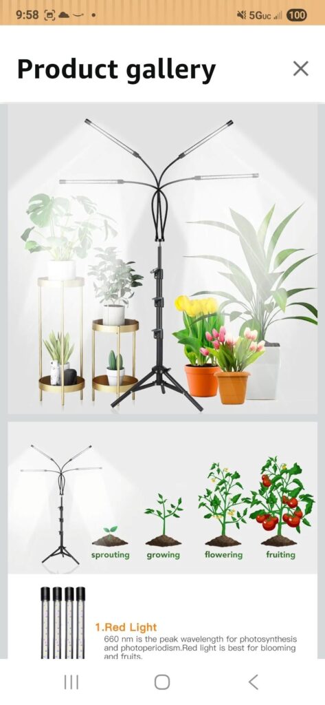 Indoor plants Indoor plants