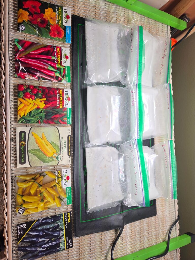 What I Do When I Can't Sleep 😅