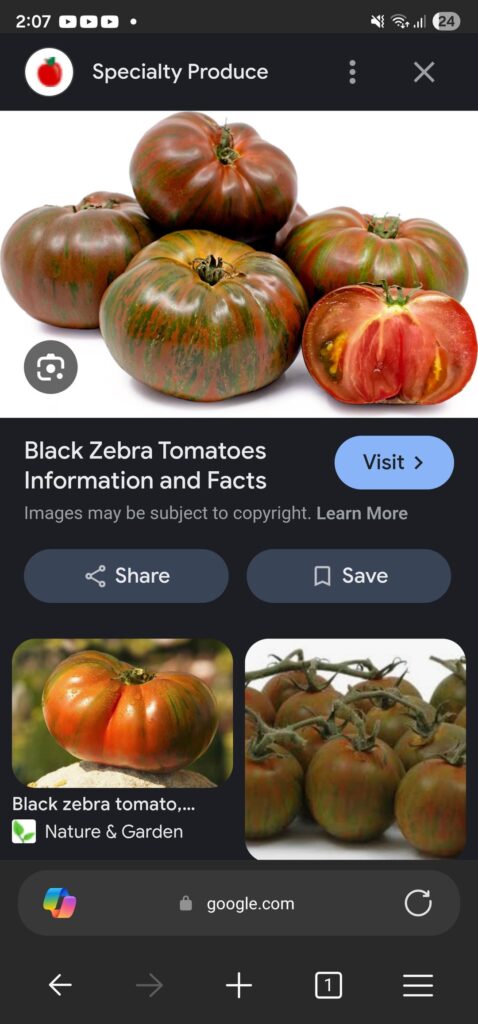 My friend accidentally bought me black zebra seeds instead of green zebra. Any thoughts about black zebra?