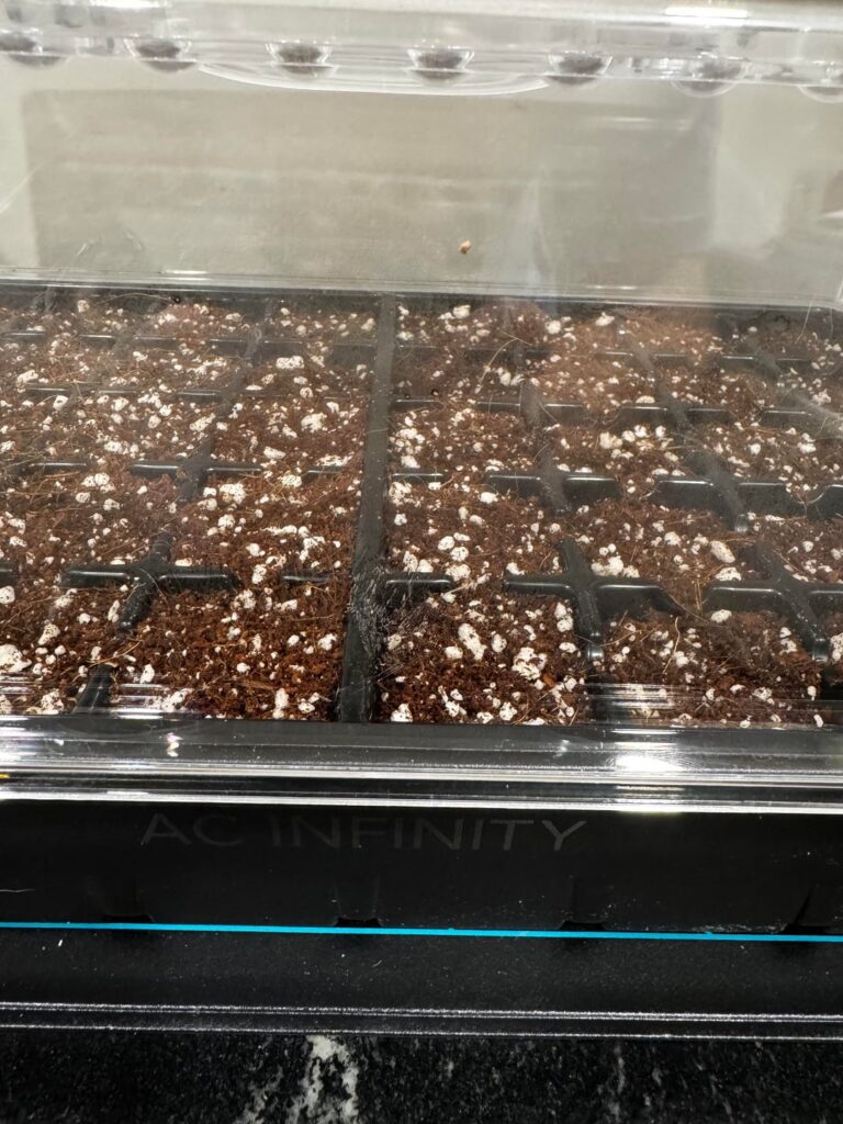 First Grow Southern Wisconsin