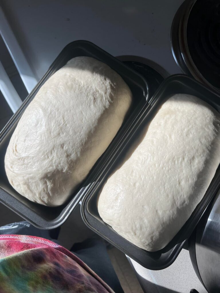 my favorite kind of before and after pics🤤