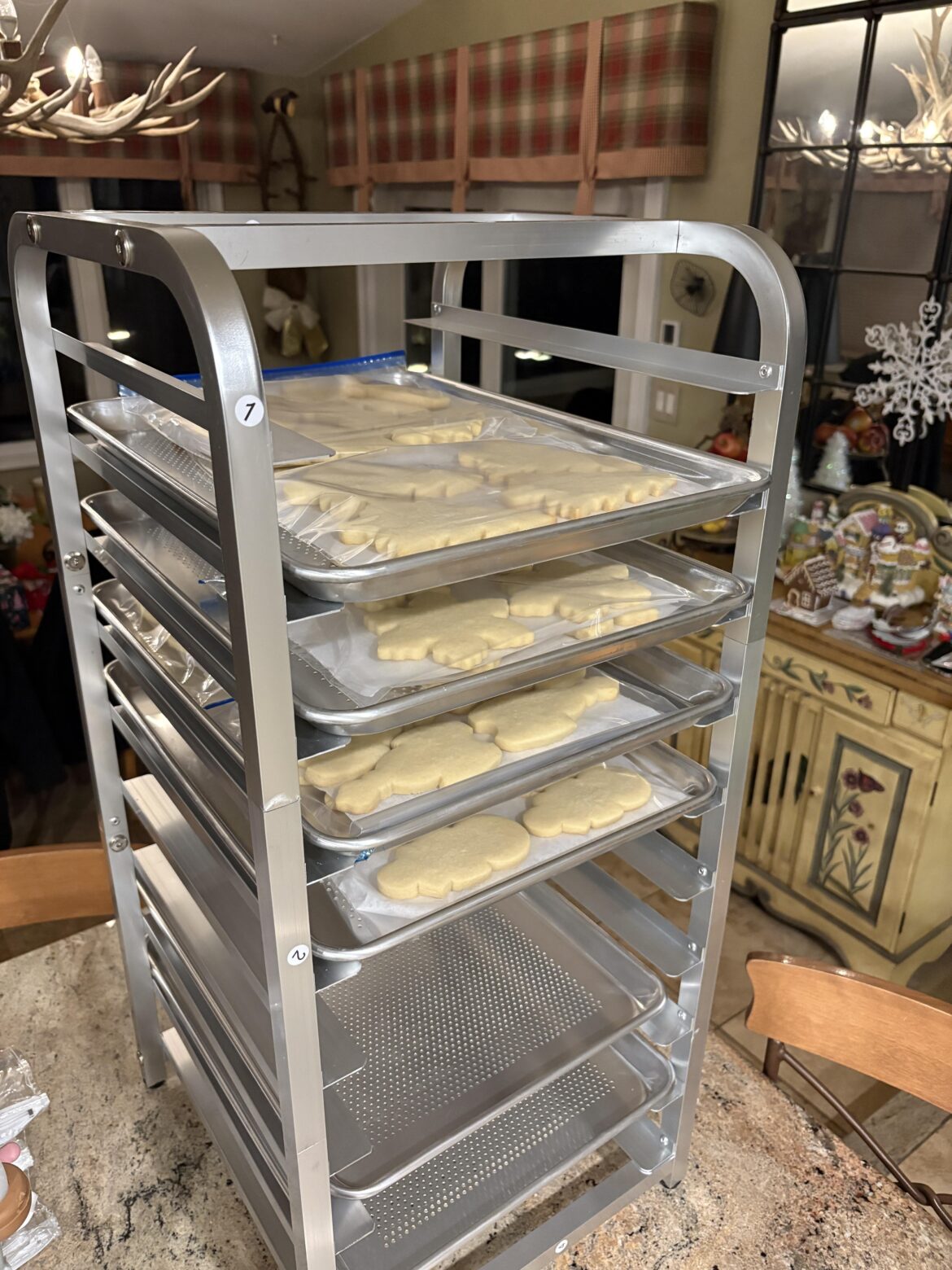 My favorite Christmas present!!